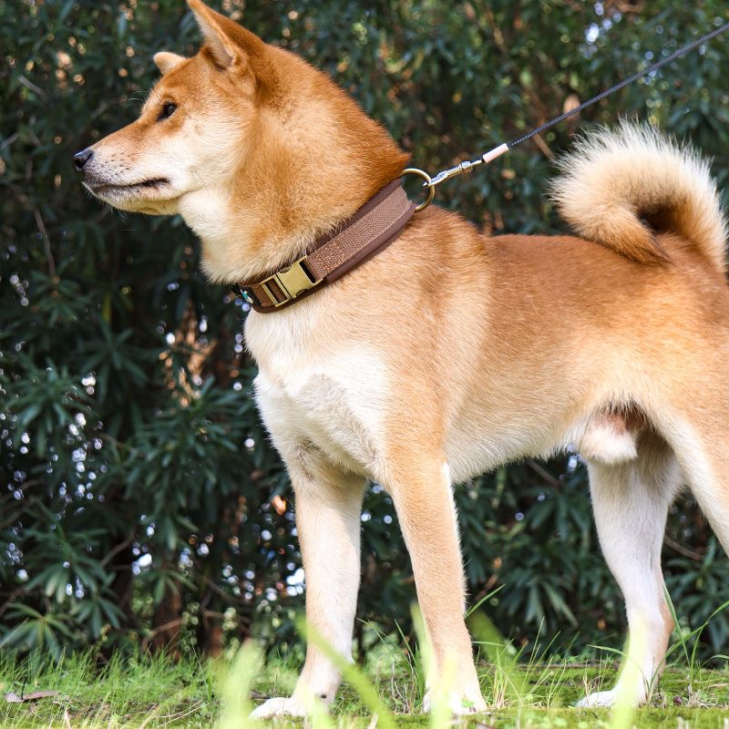 Cotton Lining Dog Collar Widen Pet Collar