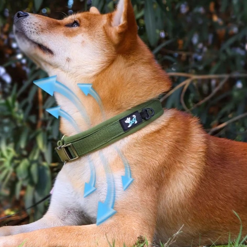 Cotton Lining Dog Collar Widen Pet Collar