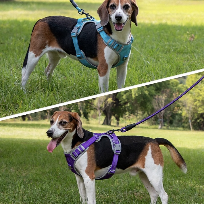 No Pull Dog Harness – Reflective, Adjustable & Padded Training Handle
