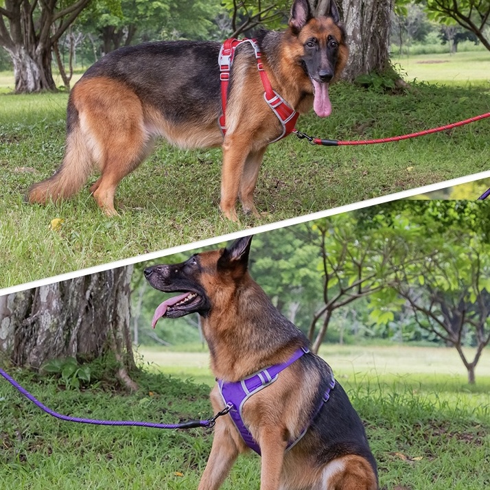 No Pull Dog Harness – Reflective, Adjustable & Padded Training Handle