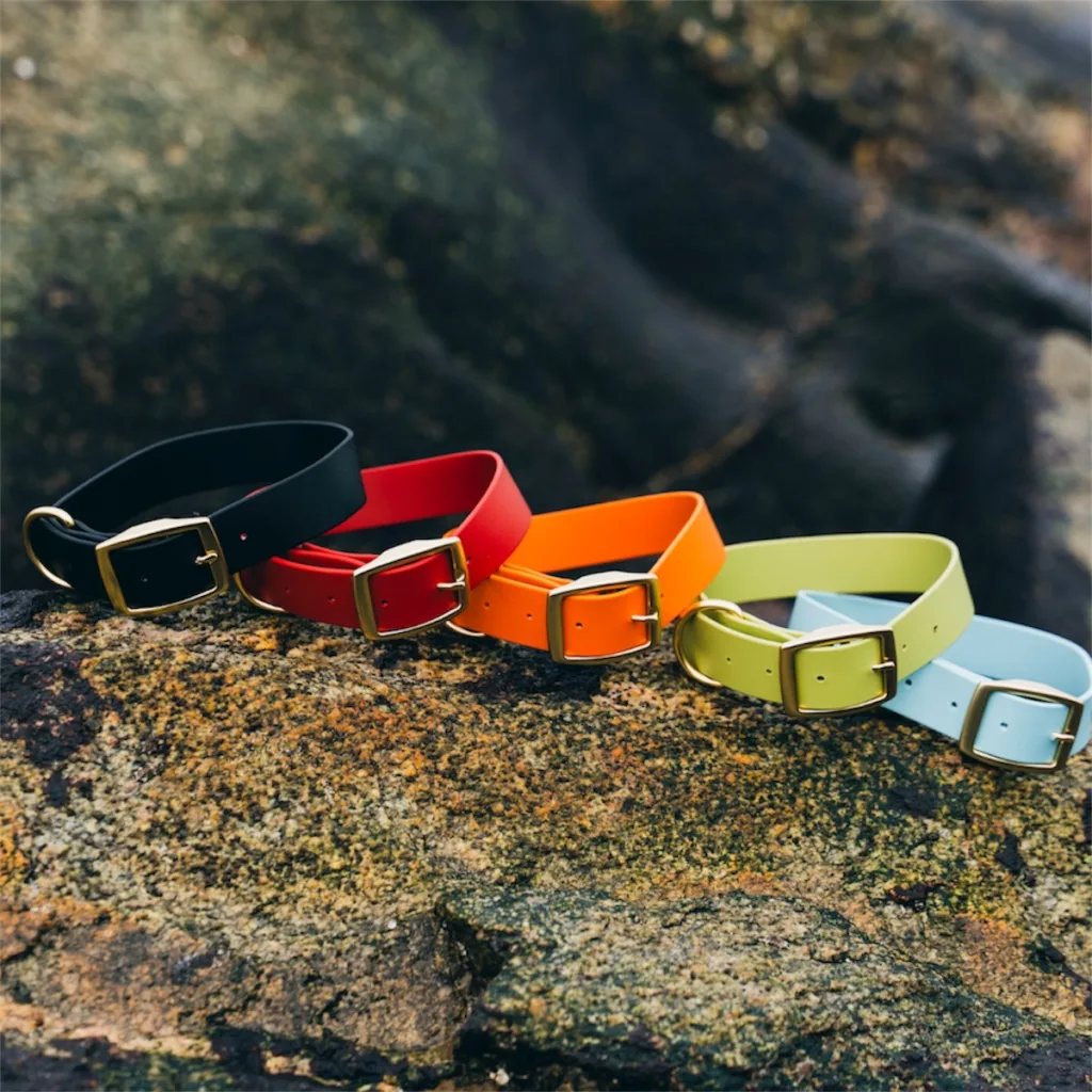 waterproof dog collar