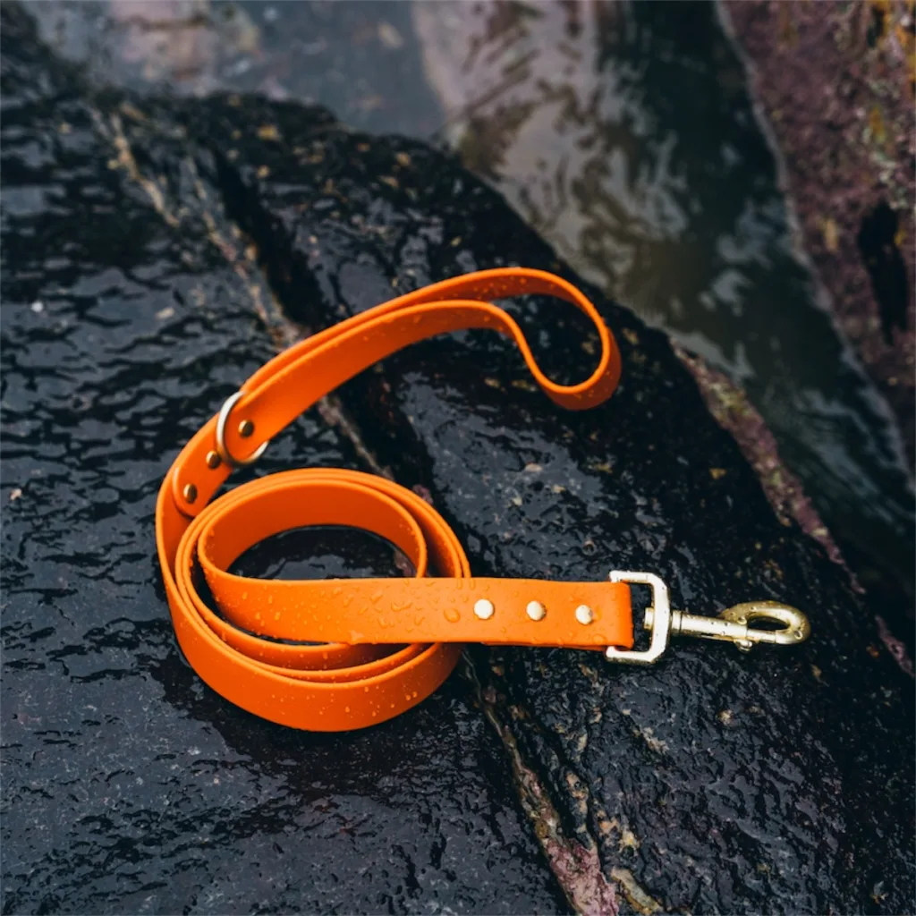 waterproof dog leash