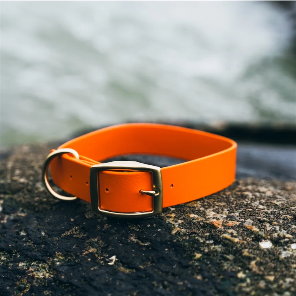 waterproof dog collar