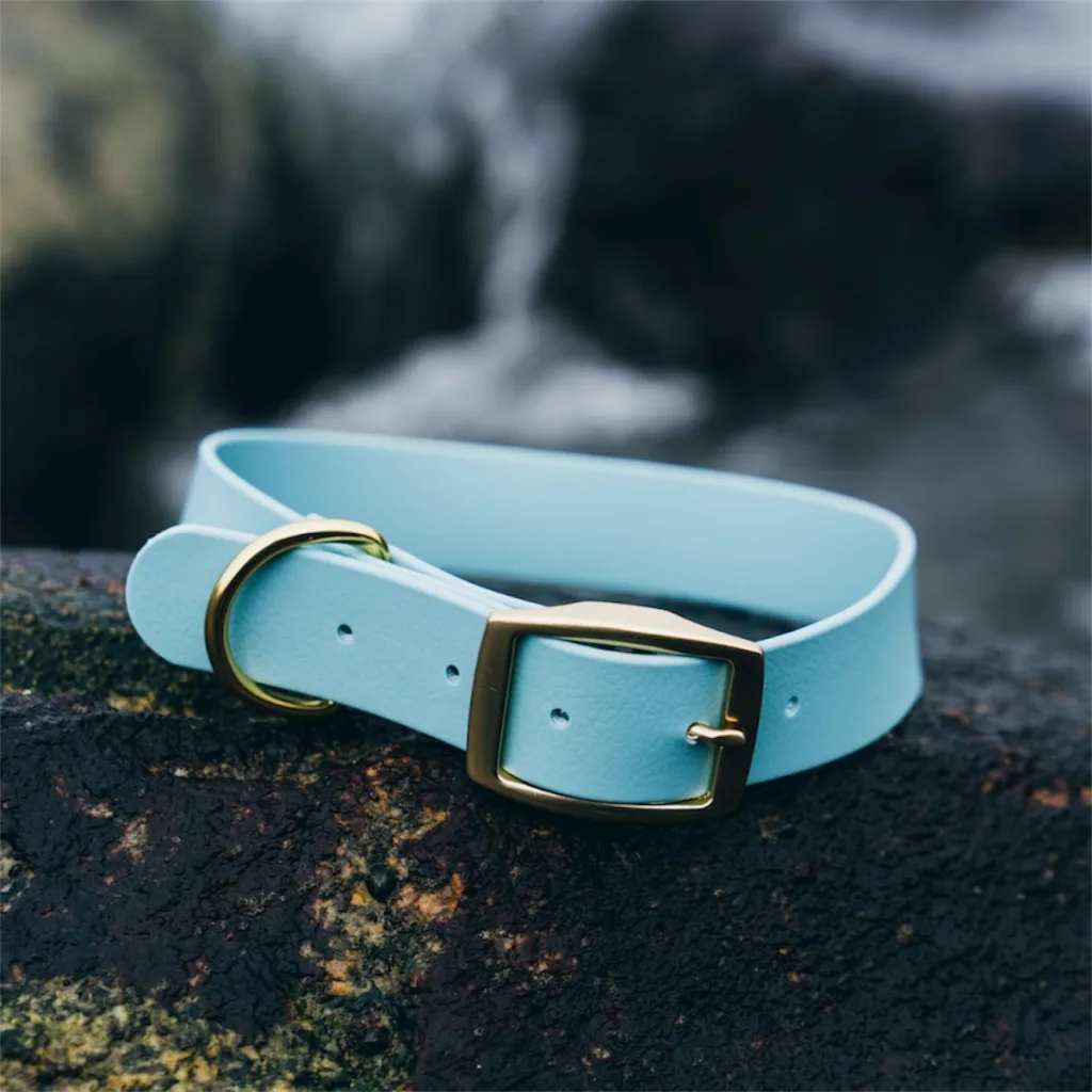 waterproof dog collar