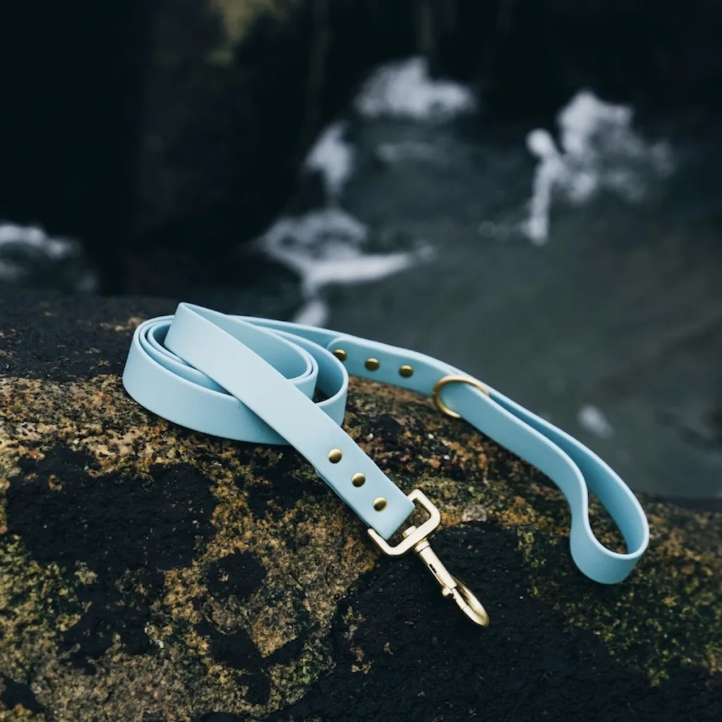 waterproof dog leash