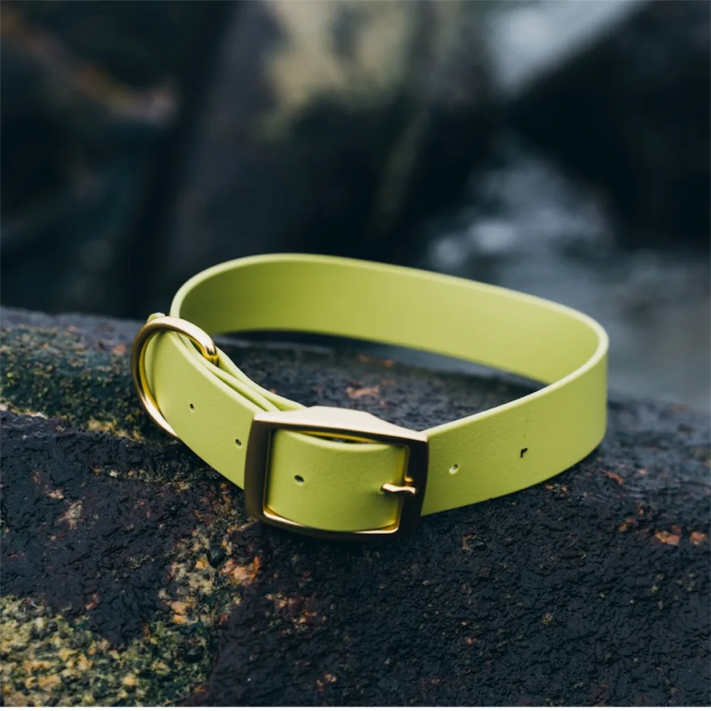 waterproof dog collar