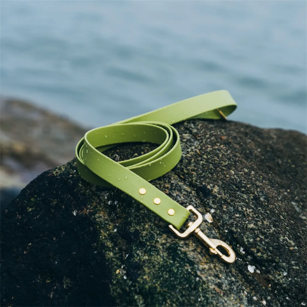 waterproof dog leash