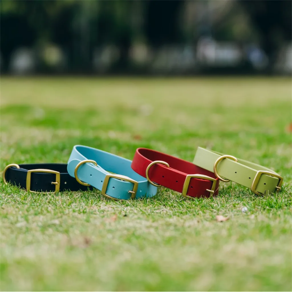 waterproof dog collar