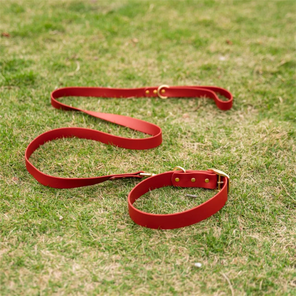 waterproof dog collar and leash