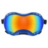 Outdoor dog goggles for beach walks