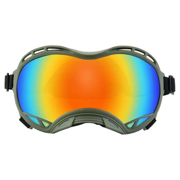 Outdoor dog goggles for beach walks