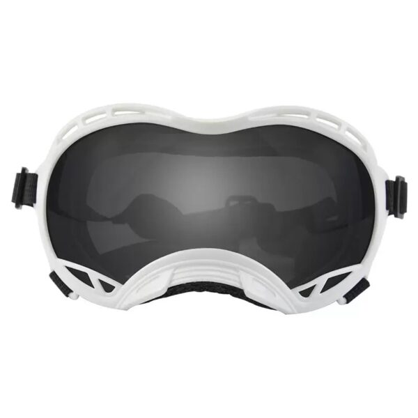 Outdoor dog goggles for hiking
