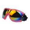 Dog wearing outdoor dog goggles