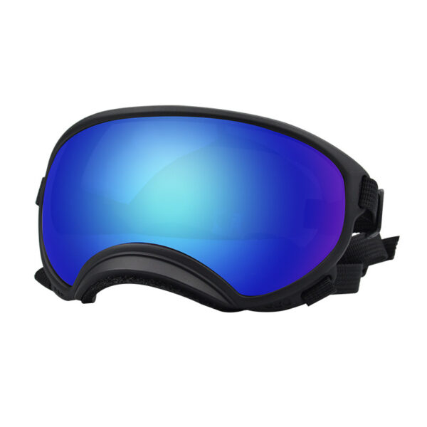 Outdoor dog goggles, front view