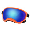 Outdoor dog goggles, front view
