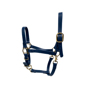 blue-waterproof-horse-halter-2