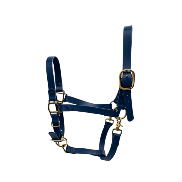 blue-waterproof-horse-halter-2