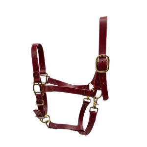 Claret waterproof pvc horse halter with gold hardware