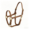 Brown waterproof PVC horse halter with brass hardware on a horse