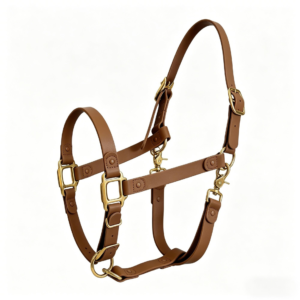 Brown waterproof PVC horse halter with brass hardware on a horse