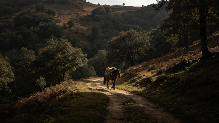 PVC vs leather horse halters comparison showing material differences