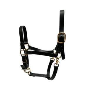 black waterproof pvc horse halter with gold hardware