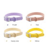 Custom PVC Collar Collection Multi-color waterproof PVC dog collar collection for pet brands