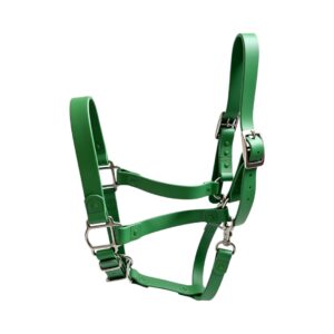 green waterproof PVC horse halter silver hardware