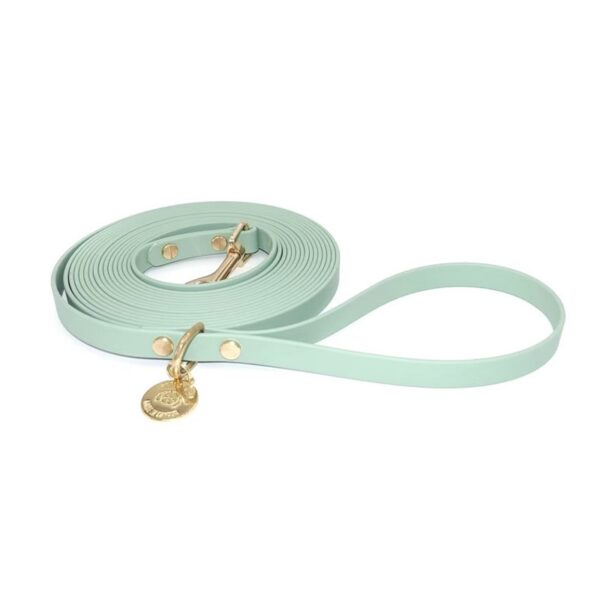 Light green waterproof TPU dog leash