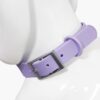 Outdoor Waterproof Dog Collar Dog wearing soft pastel waterproof PVC collar outdoors