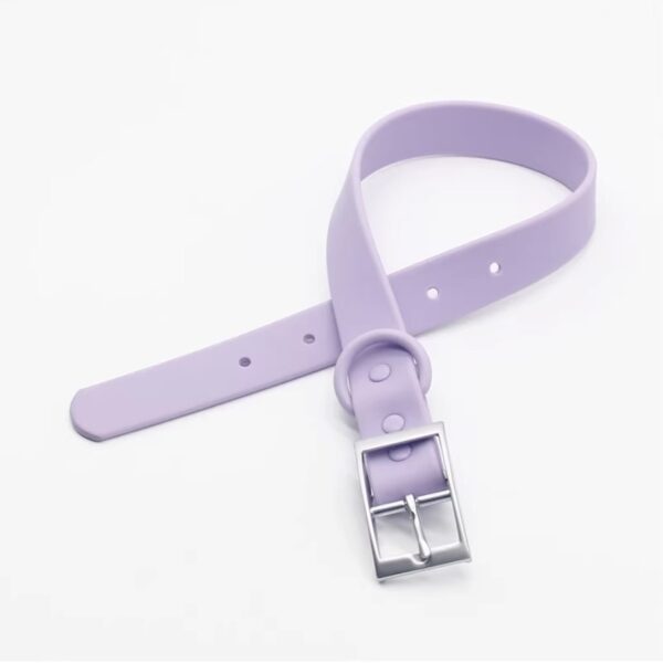 Purple PVC Dog Collar Flat Lay Flat lay purple waterproof PVC dog collar product display