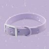 Waterproof PVC Collar Test Purple waterproof PVC dog collar water resistant demonstration