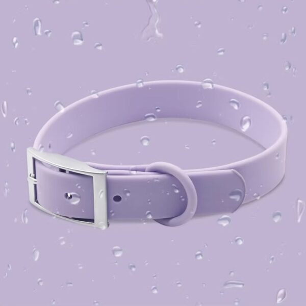 Waterproof PVC Collar Test Purple waterproof PVC dog collar water resistant demonstration