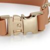 durable metal buckle waterproof PVC dog collar hardware close up
