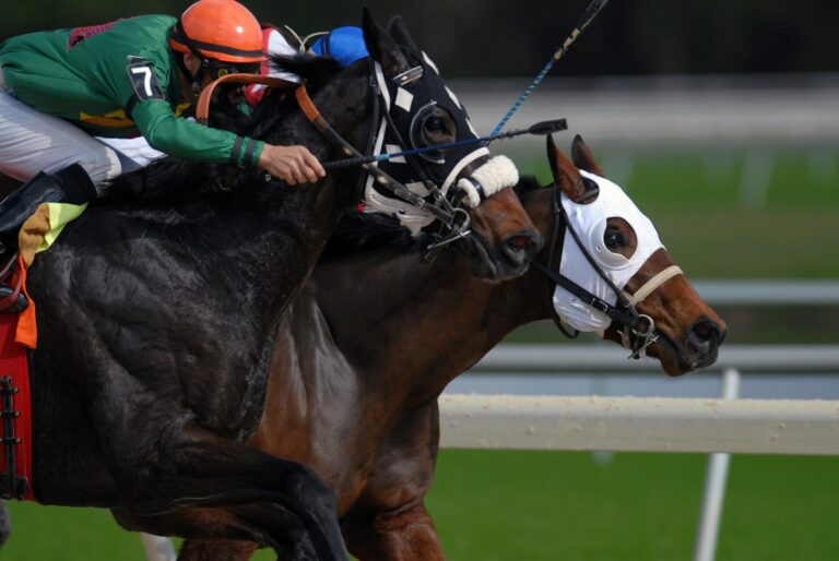 horse halter buying mistakes and choosing the right waterproof horse halter
