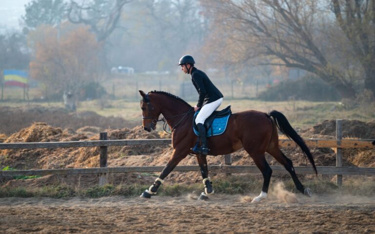 Waterproof PVC horse halter with stainless steel hardware in outdoor stable