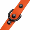 Reinforced rivet detail on orange waterproof PVC dog leash