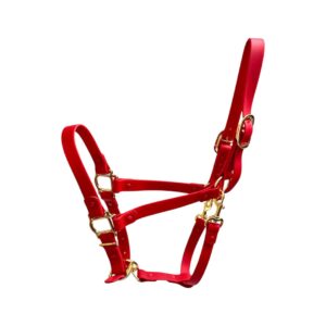 Red Waterproof PVC Horse Halter Red Waterproof PVC Horse Halter with Gold Zinc Alloy Hardware