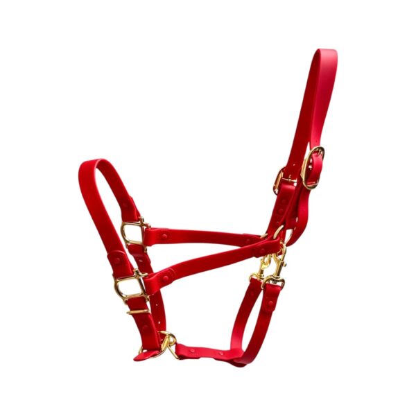 Red Waterproof PVC Horse Halter with Gold Zinc Alloy Hardware